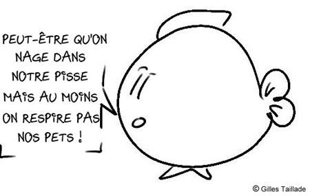poisson un peu moins philosophe